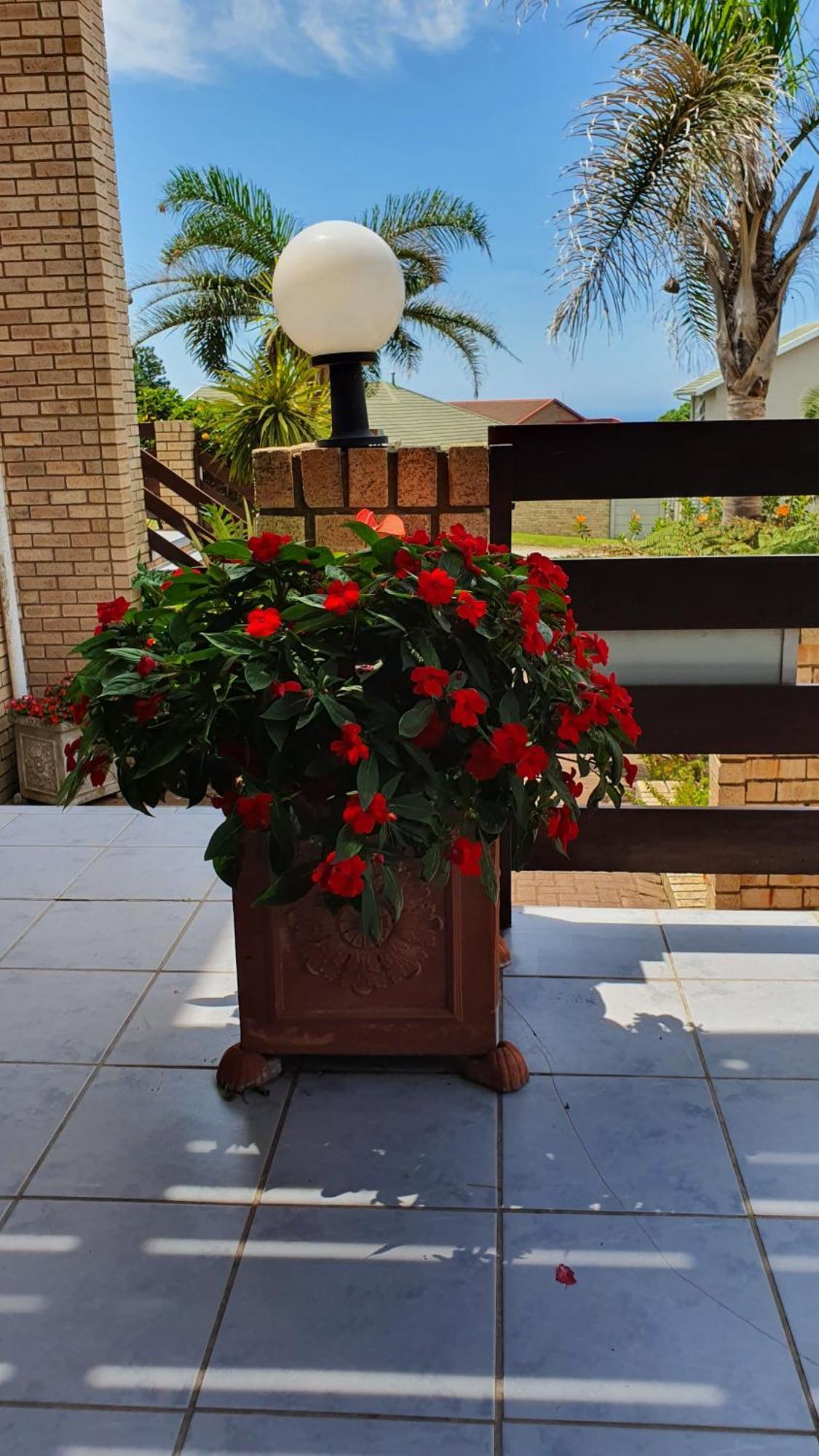 Villa Majestic for Exclusive Accommodation Port Alfred Extérieur photo